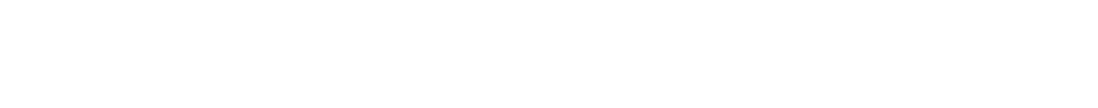 TrueNorth Goods Logo
